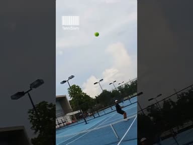 Net Ping Pong | Tennis Highlights